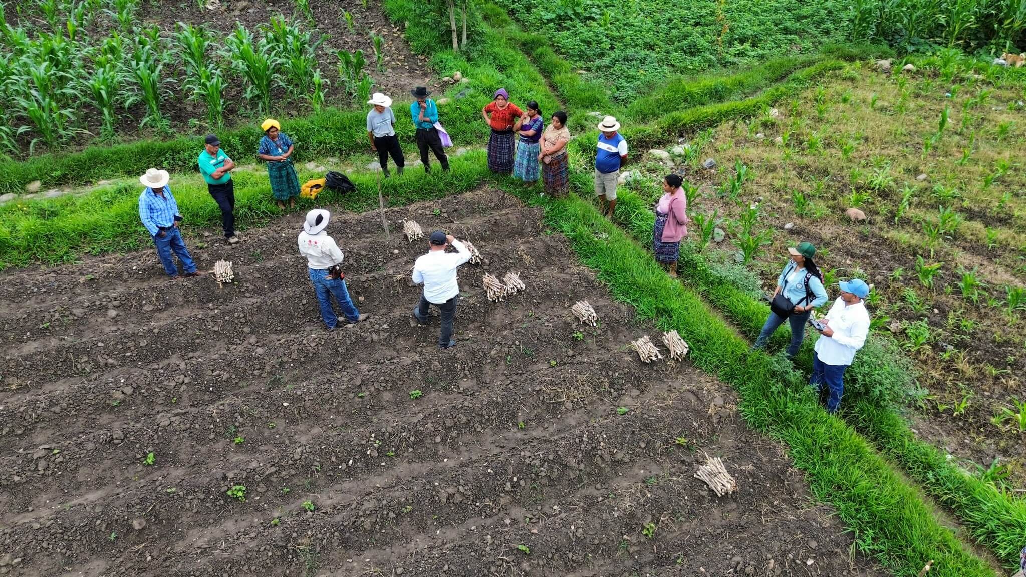 Tecnología agrícola